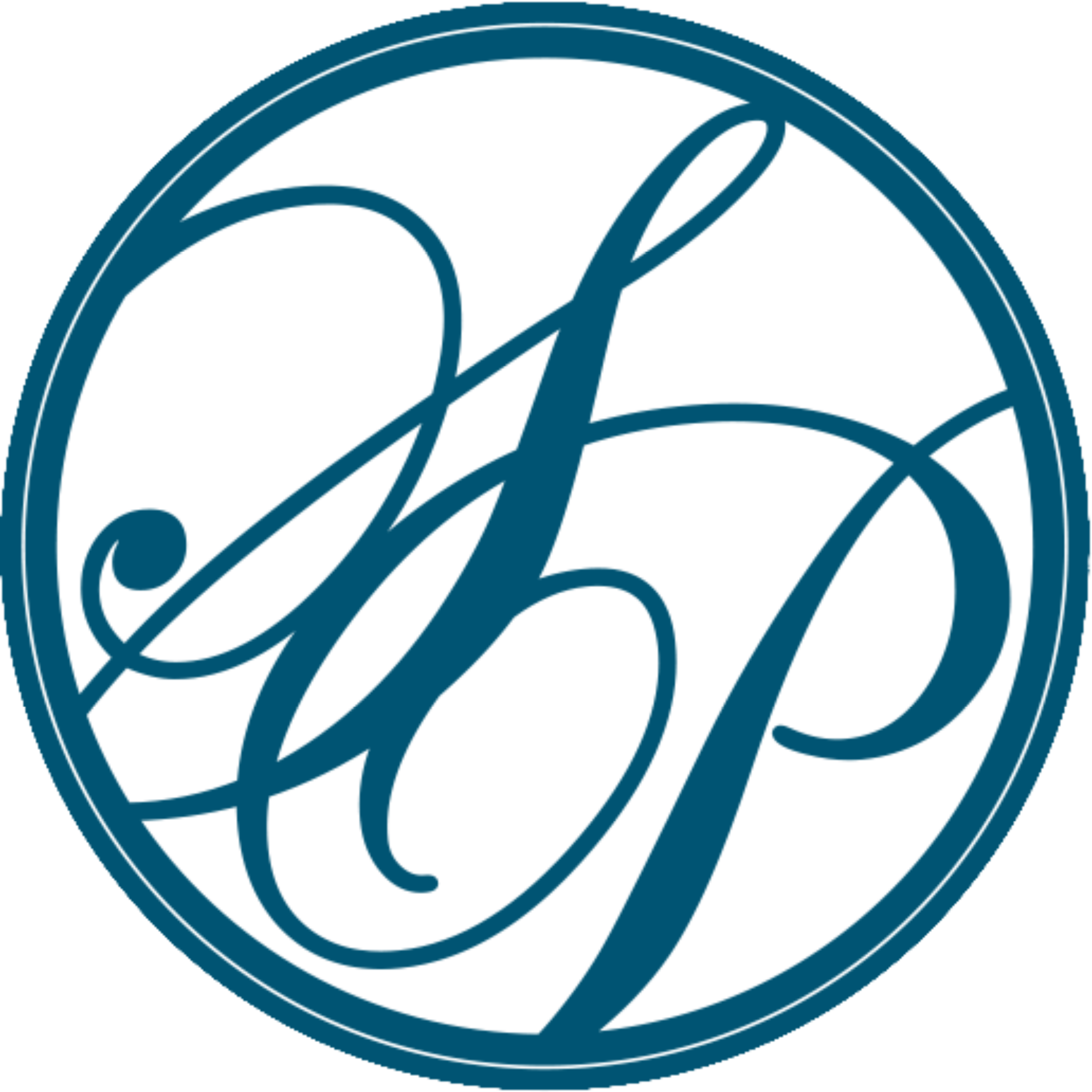 smartprince logo